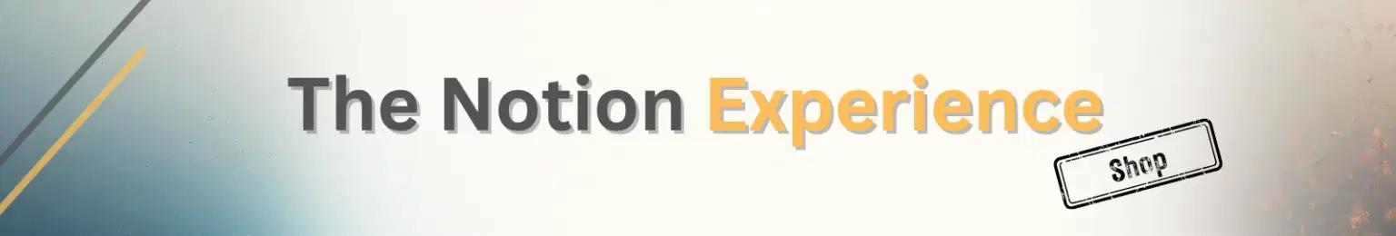 The Notion Experience