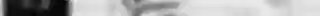 GRAPHITE PENCIL SKETCH FX — Photoshop Action (5).jpg