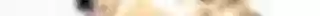 Instant Photo To Oil Painting FX Photoshop Action (9).jpg