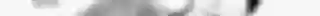 Pencil Sketch Collection Photoshop Actions (4).jpg