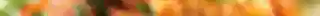 Retro Color Looks Photoshop Actions (10).jpg