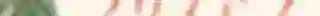 GLOWING ROMANCE (16).png