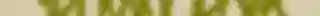 GUSOM FONT (7).png