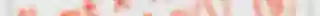 GOWAK13.png