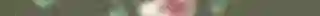 NCL KISGADE - SUPERNEU20.png