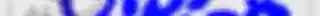 GOWAK12.png