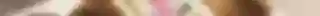 YUCKEN FONTS (5).png