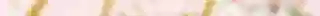 GLOWING ROMANCE (3).png
