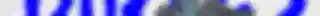 GOWAK3.png