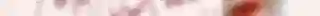 NCL KISGADE - SUPERNEU9.png