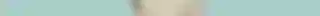 ROGAK (12).png