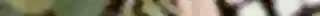 il_fullxfull.6933000484_e4cb.webp