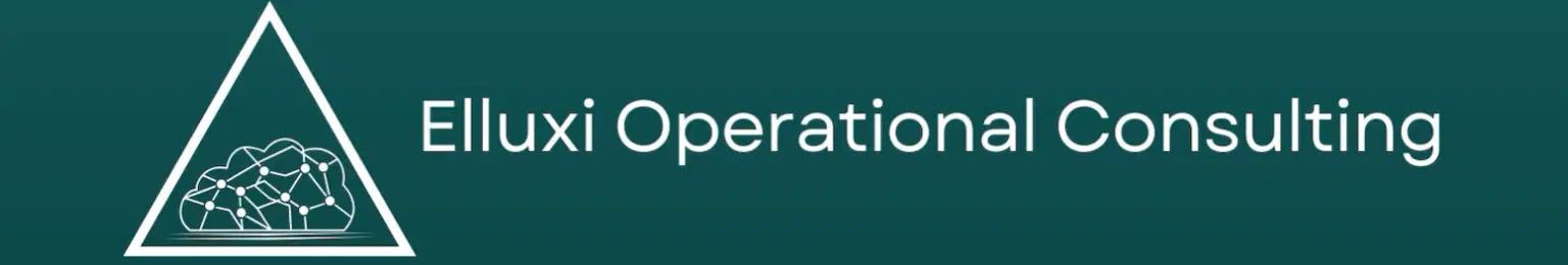 Elluxi Operational Consulting