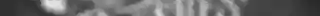 Midnight Chalk Multi App Brushes 01.jpg
