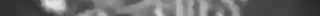 Midnight Chalk Clip Studio Brushes