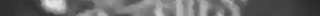 Midnight Chalk Affinity Brushes 01.jpg