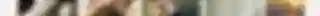 calm-gallery.png