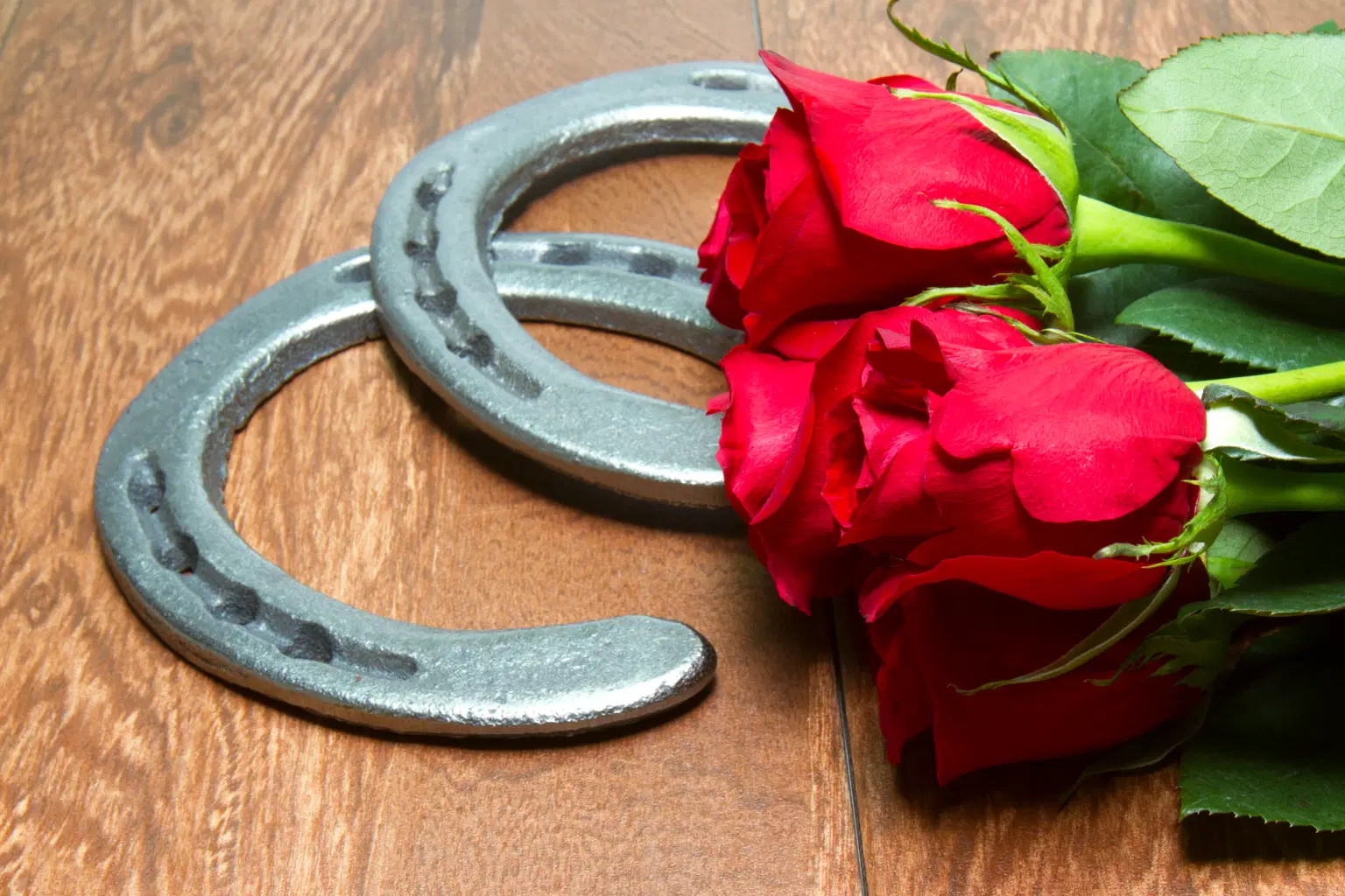 Kentucky Derby Red Roses with Horseshoes on Wood.jpg