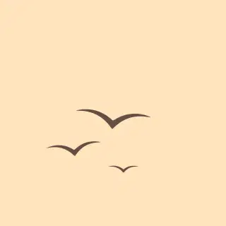 Under the orange Sky logo