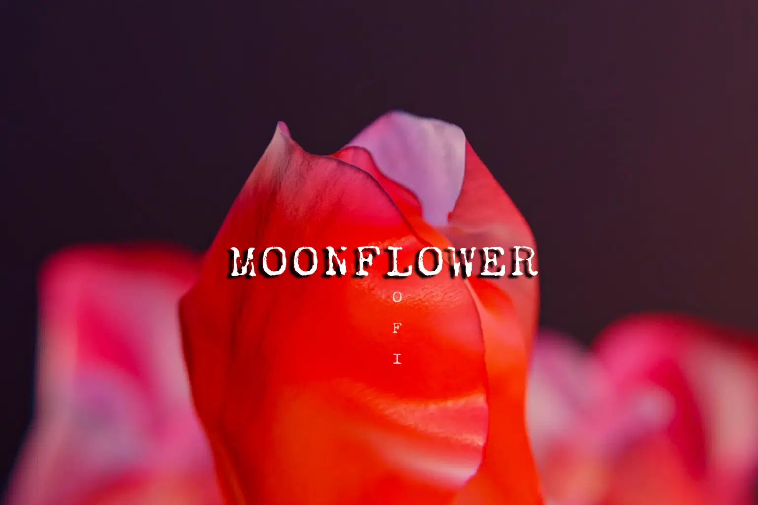 LF041 LoFi Moonflower_cover.png