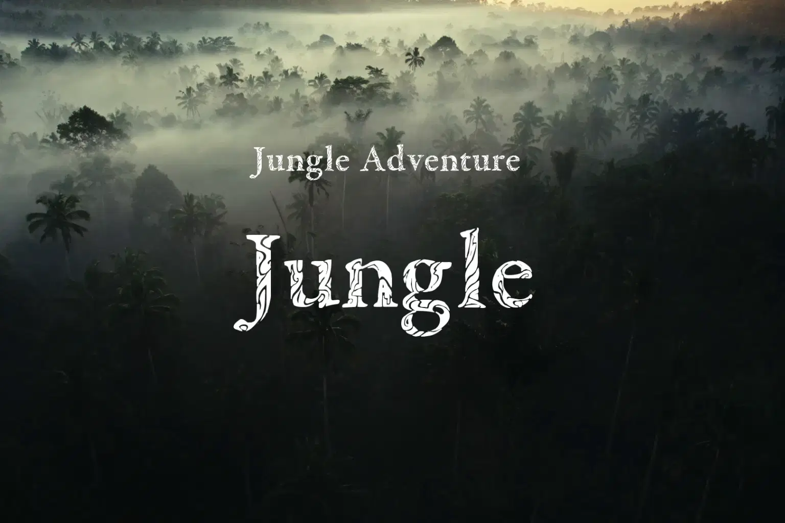 JA001 Jungle_cover.png