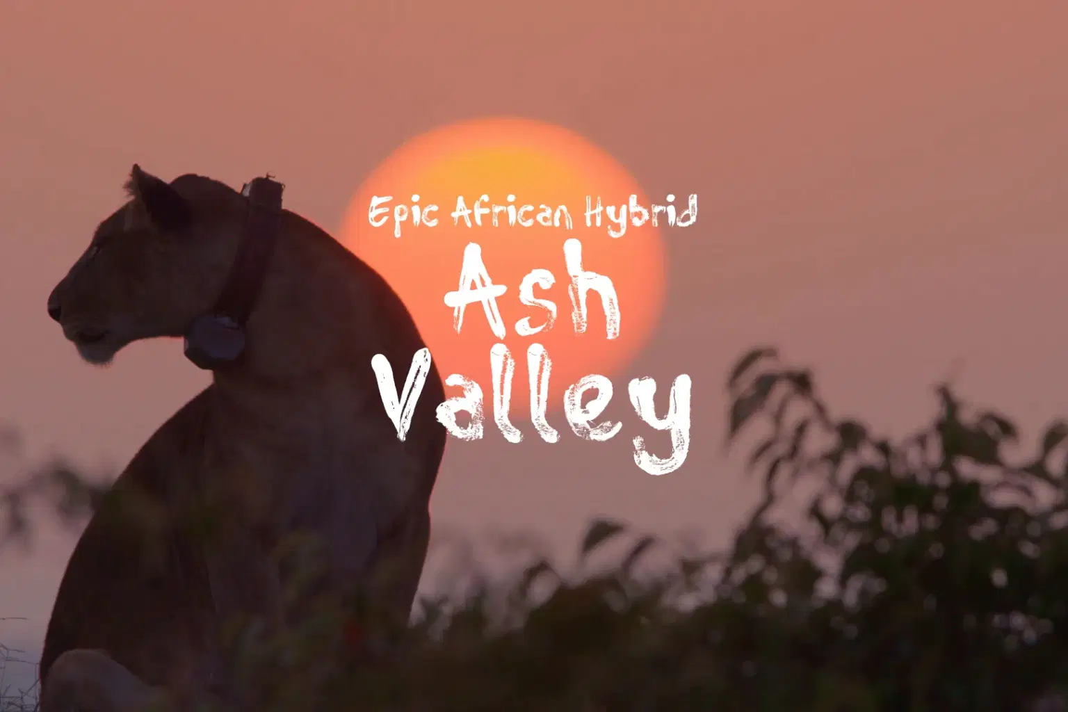AF009 Ash Valley_cover.png