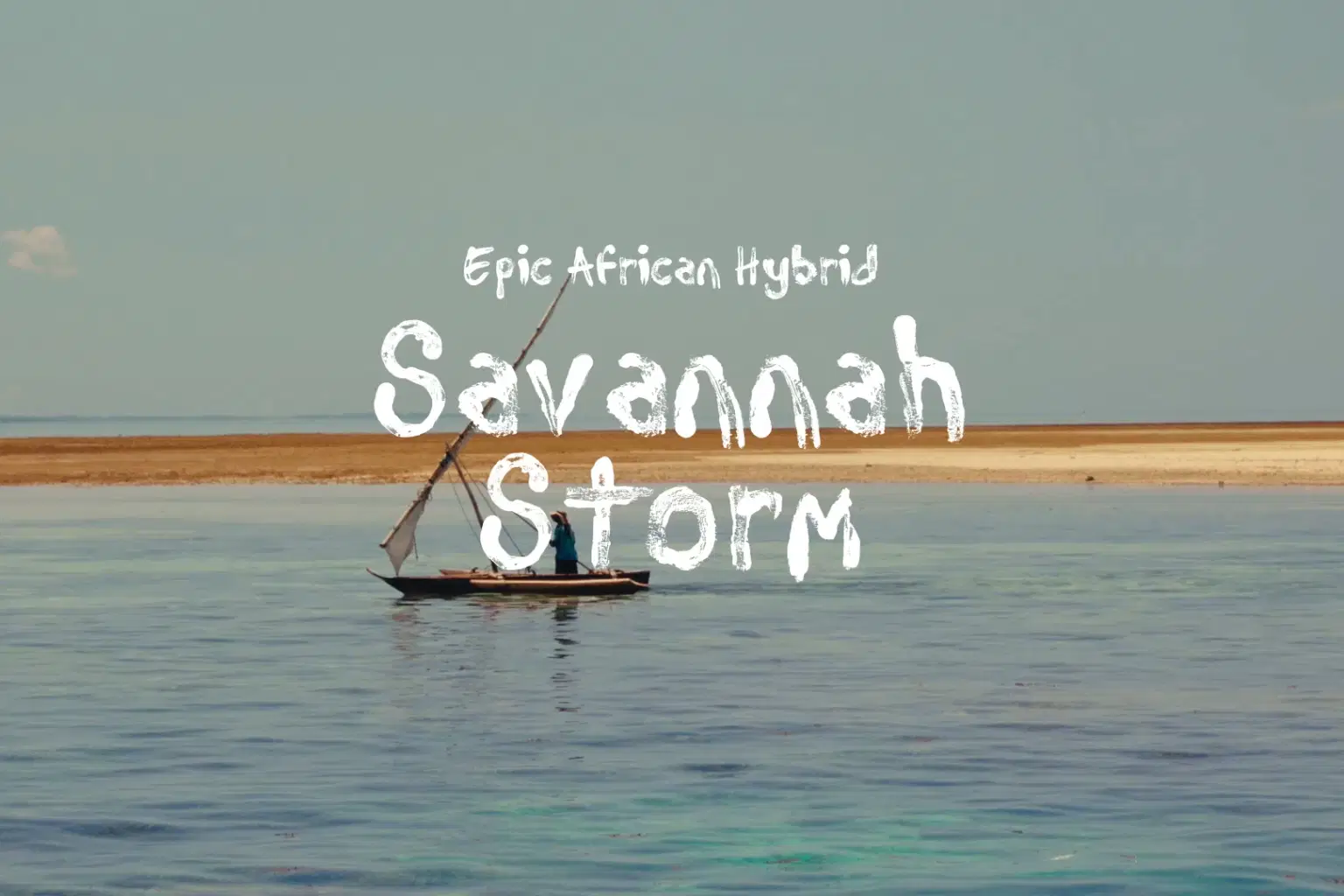 AF001 Savannah Storm_cover.png