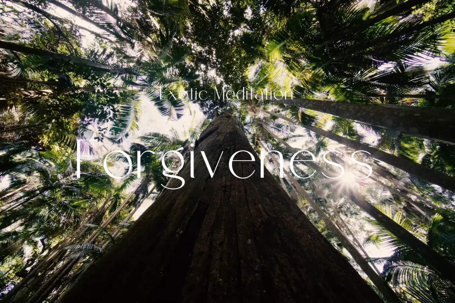 AY065 Forgiveness_cover.png