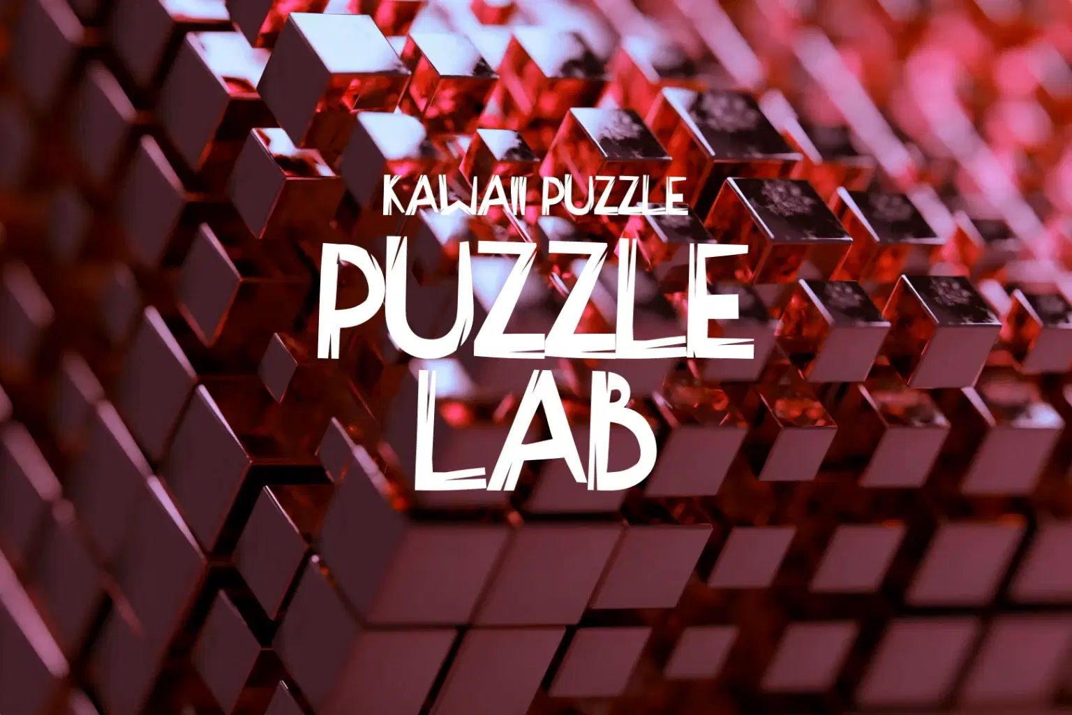 WZ022 Puzzle Lab_cover.png