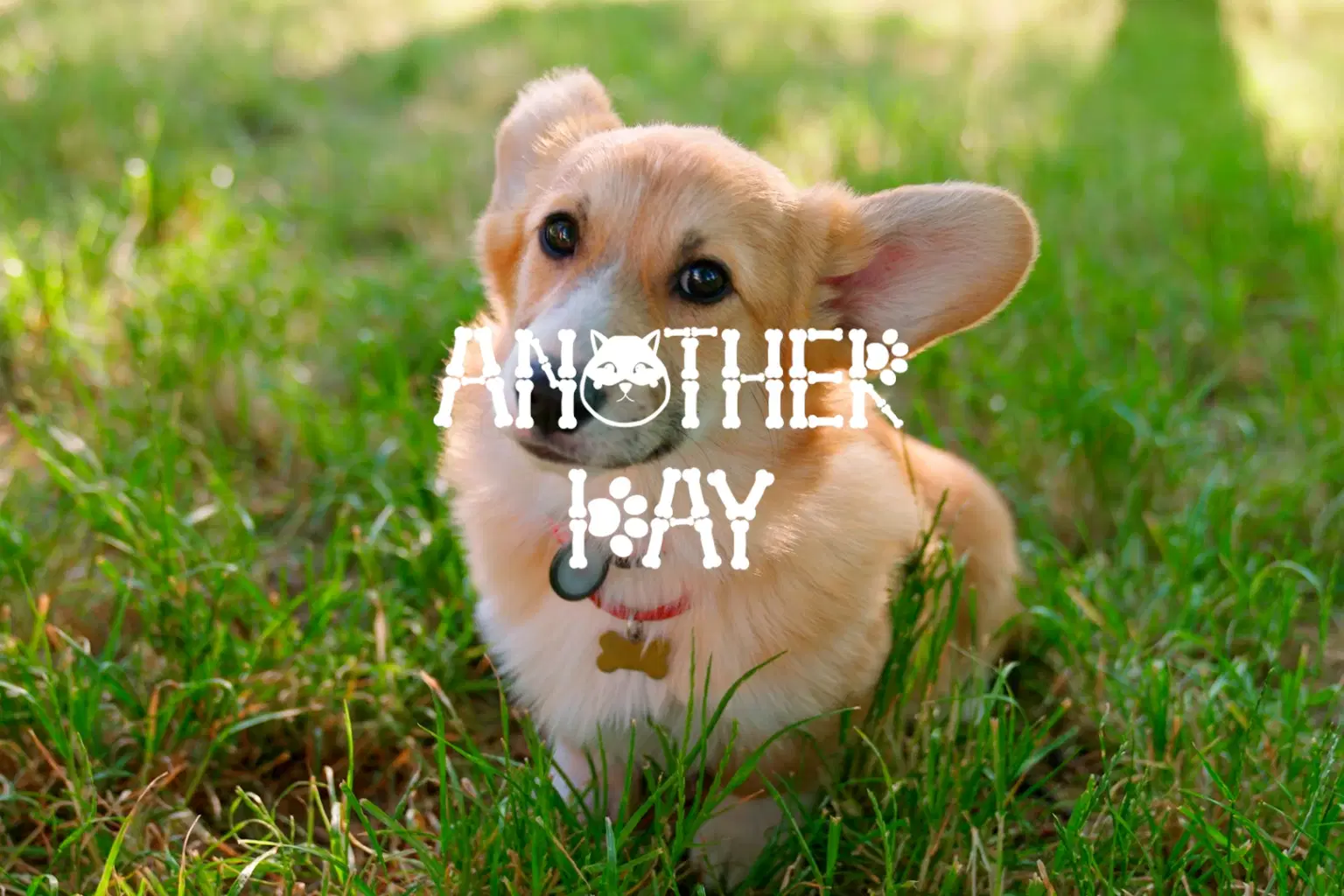 SH026 ANOTHER DAY_cover.png