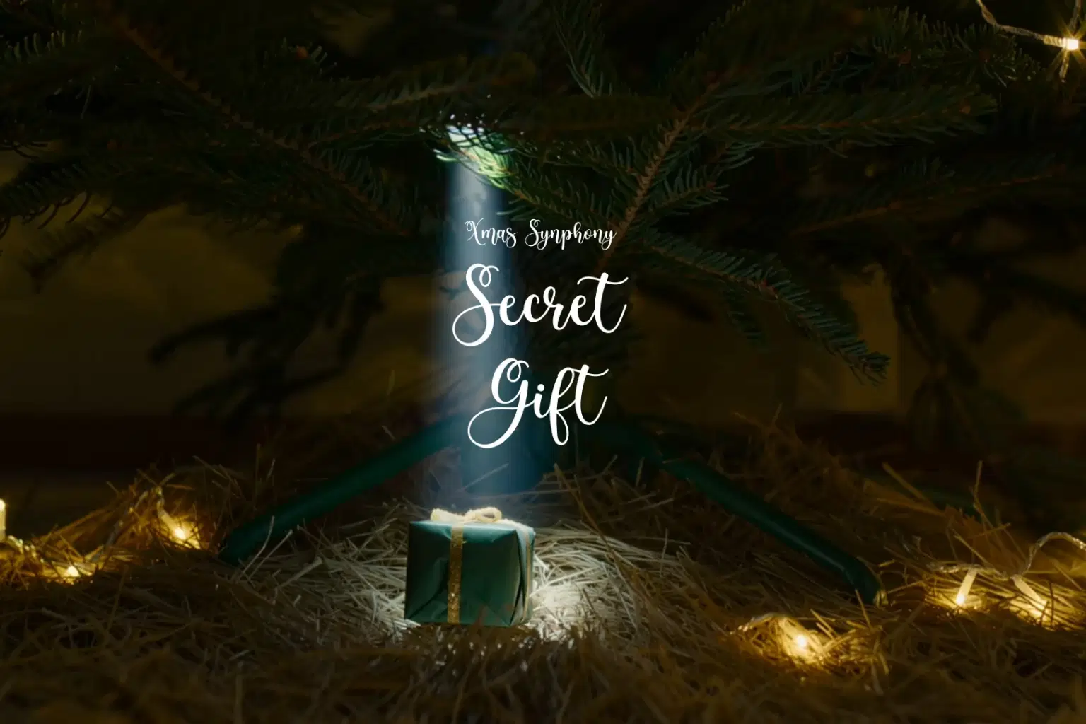 HN139 Secret Gift_cover.png