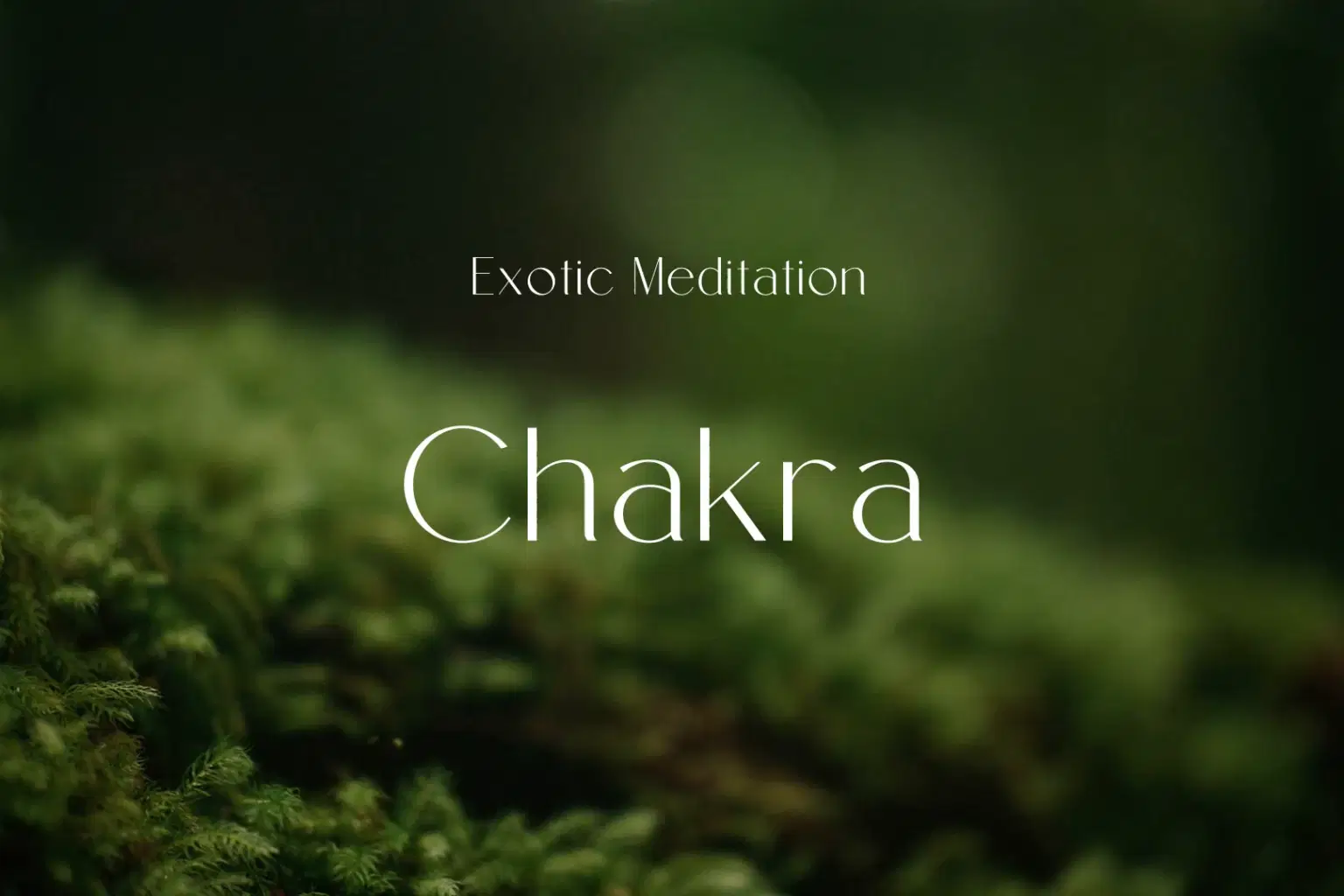 AY068 Chakra_cover.png