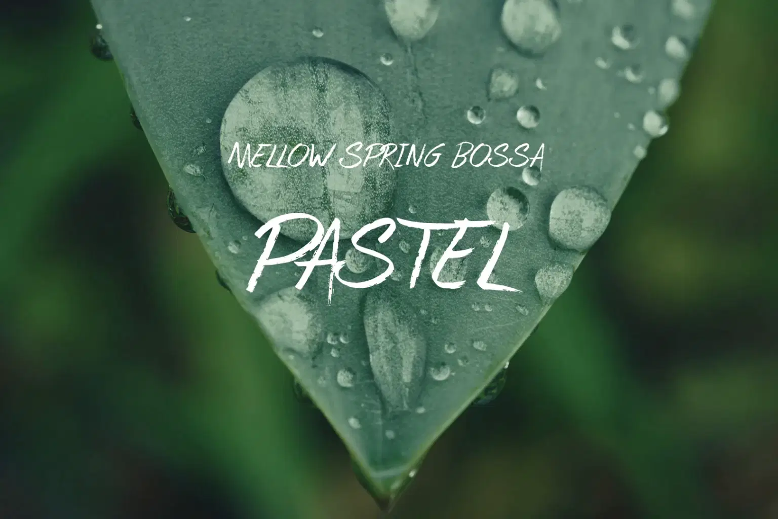 PK057 Pastel_cover.png