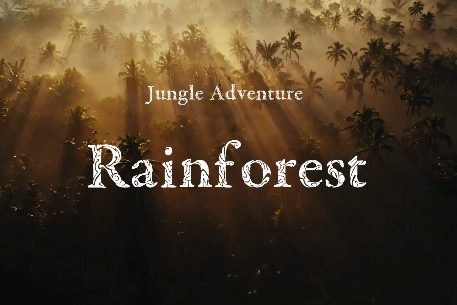 JA010 Rainforest_cover.png