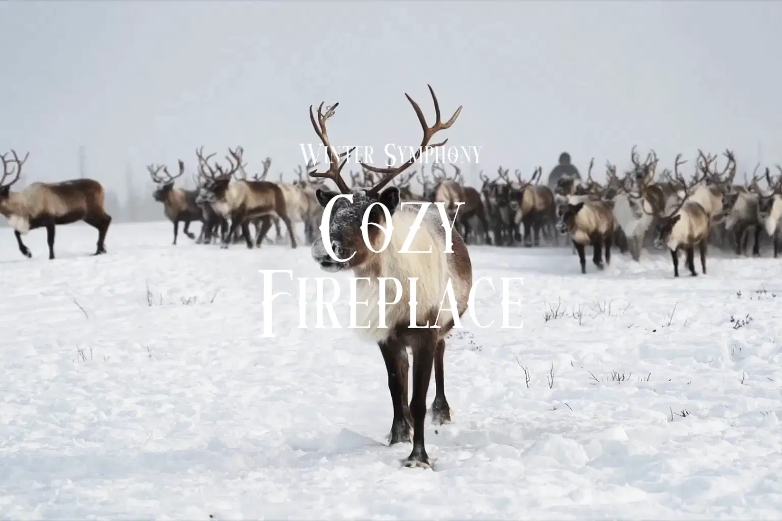 HN023 Cozy Fireplace_cover.png