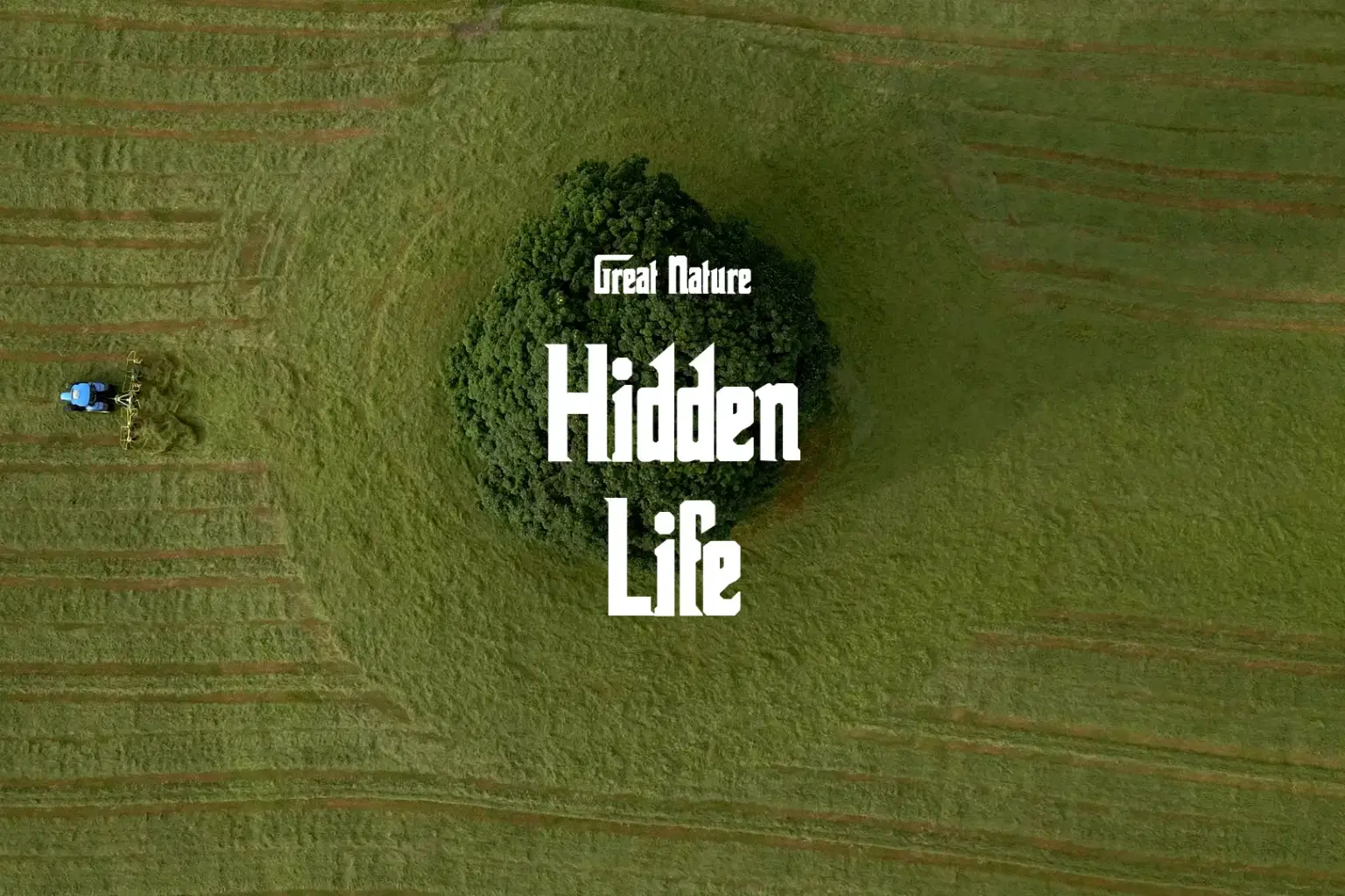 DB013 Hidden Life_cover.png