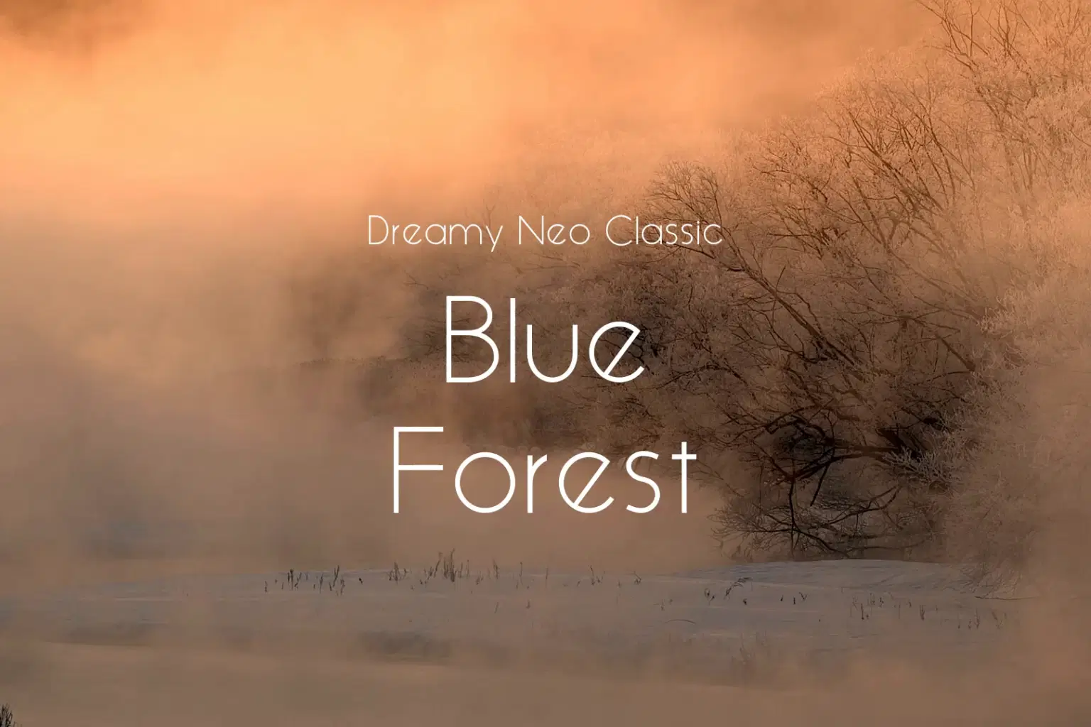PK063 Blue Forest_cover.png
