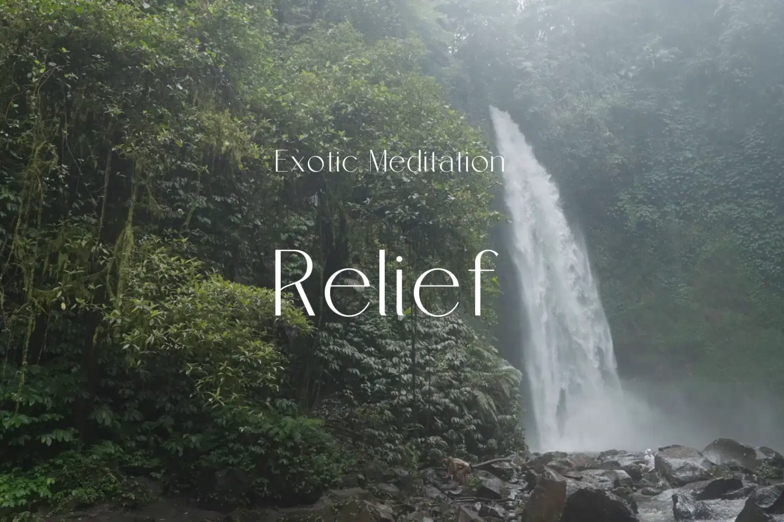 AY070 Relief_cover.png