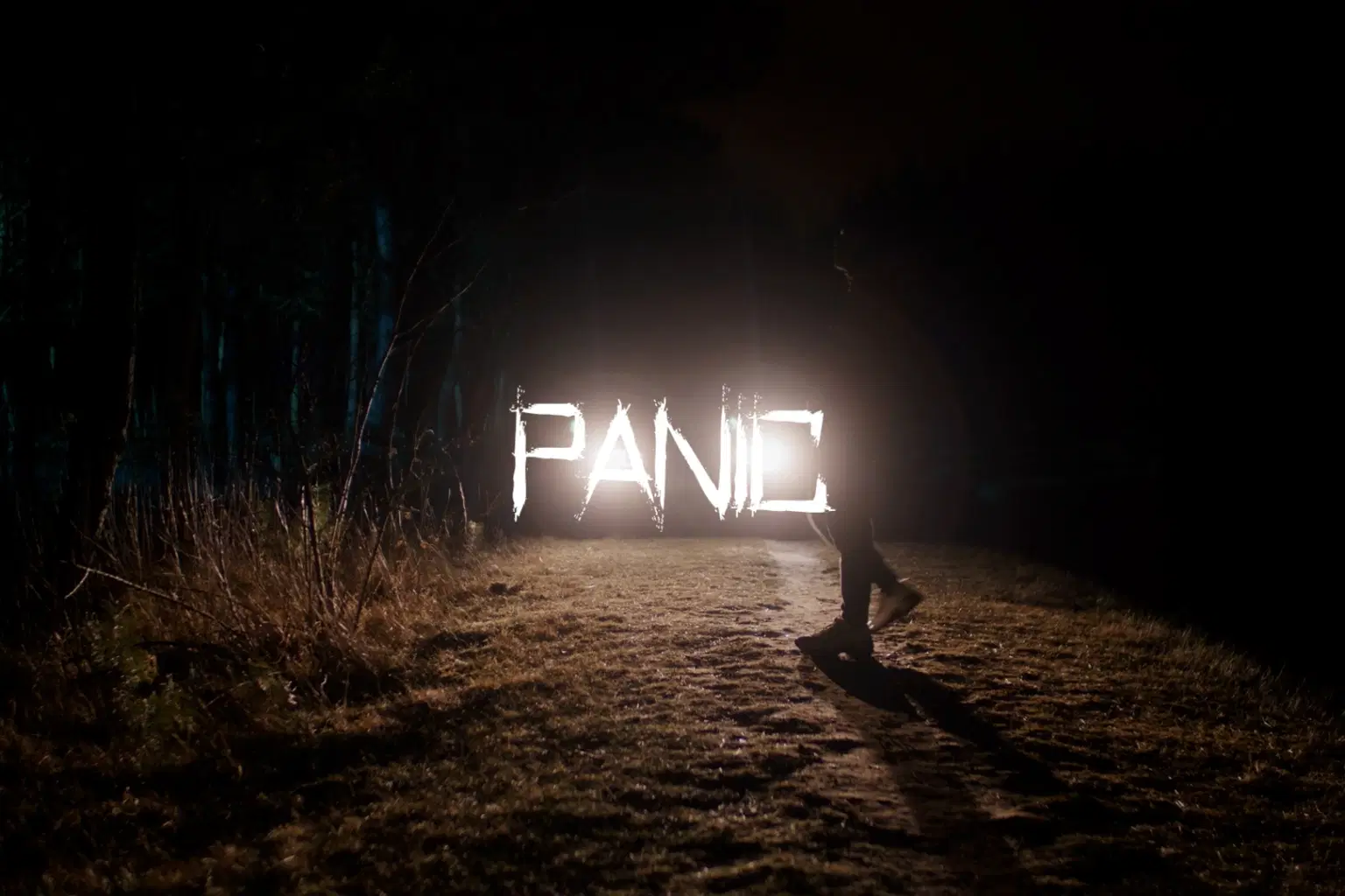 SH043 PANIC_cover.png