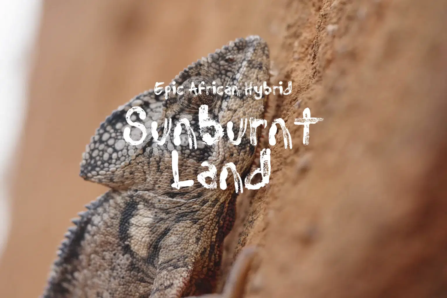 AF006 Sunburnt Land_cover.png