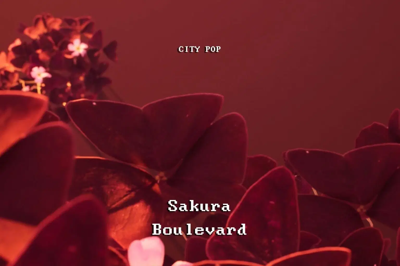 RS025 City Pop Sakura Boulevard_cover.png