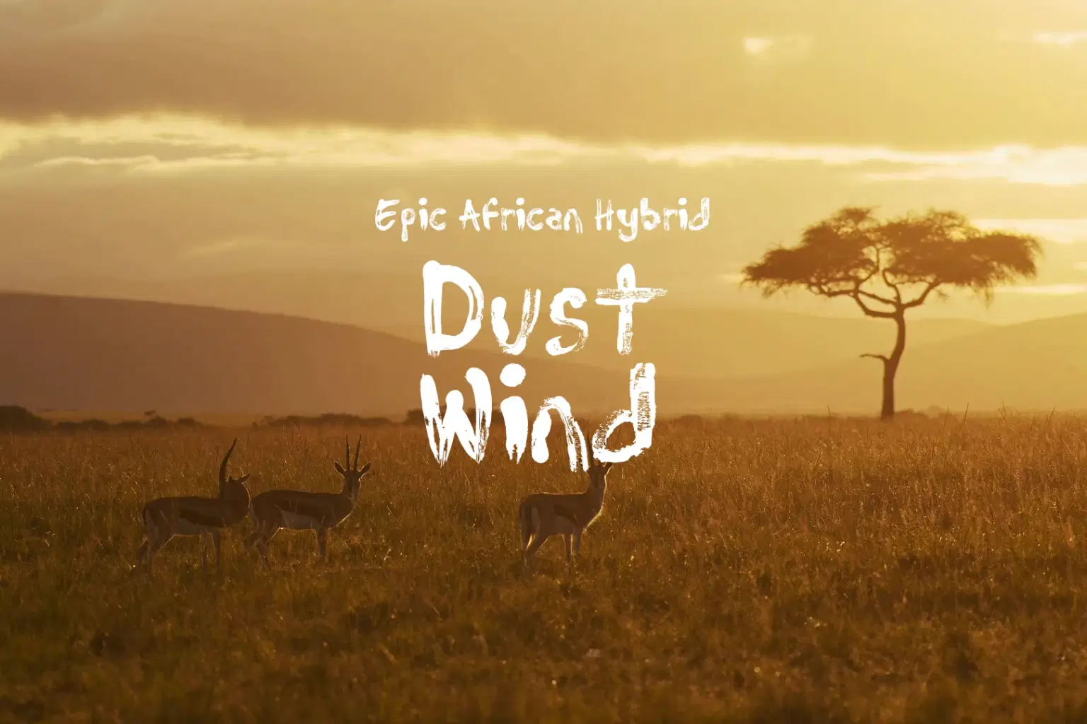 AF007 Dust Wind_cover.png