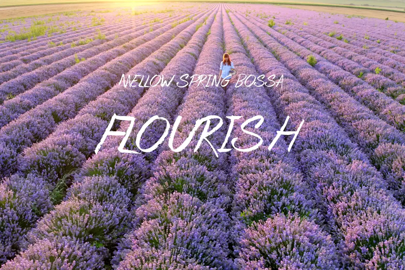 PK058 Flourish_cover.png