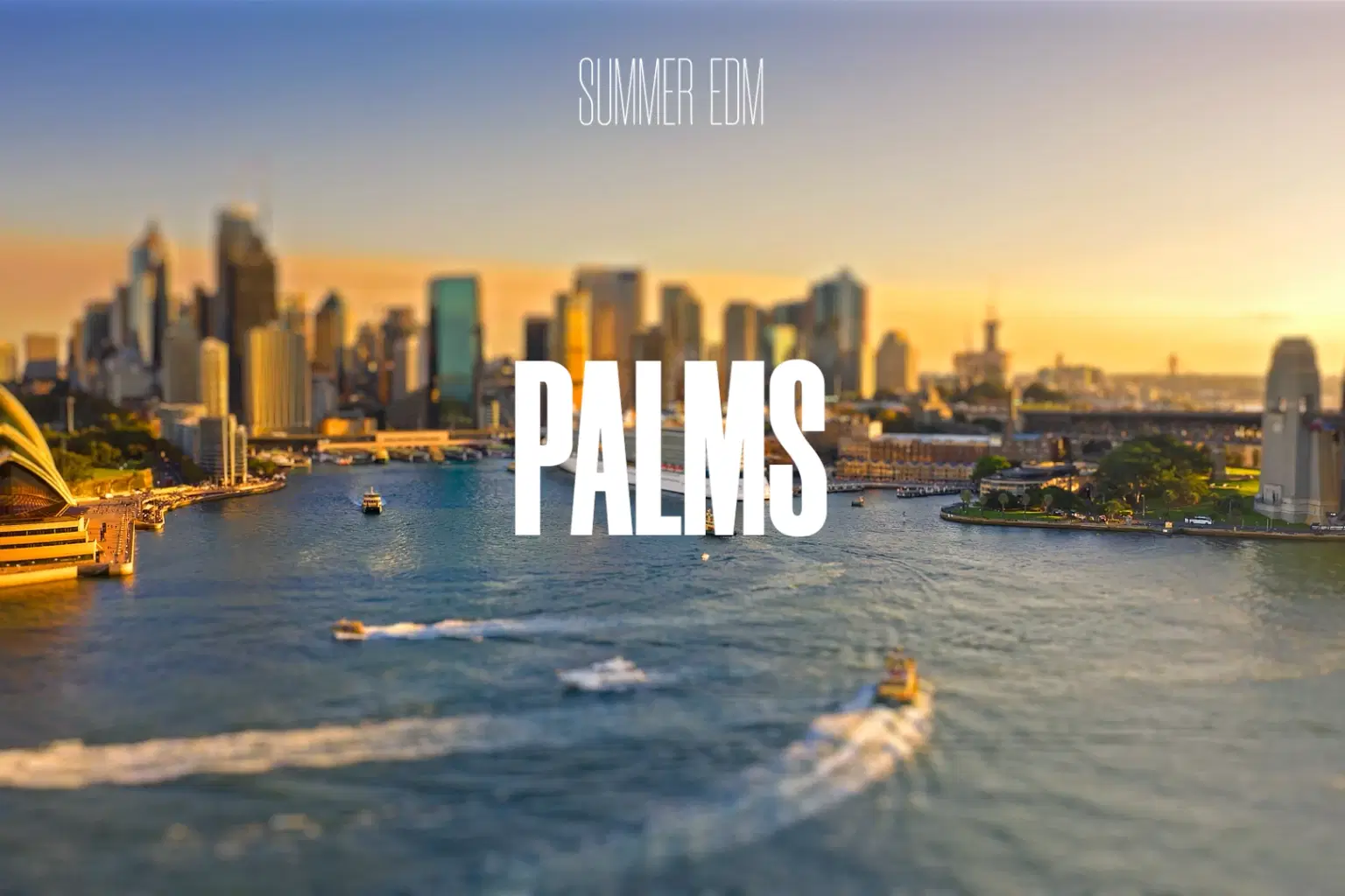 SM015 Summer EDM Palms_cover.png
