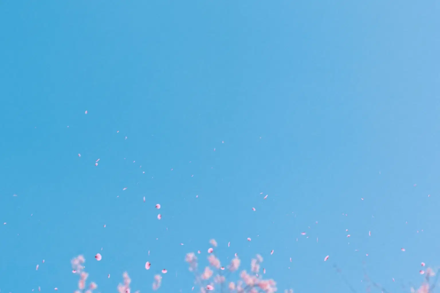 DP012 Tune Of Spring_cover.png