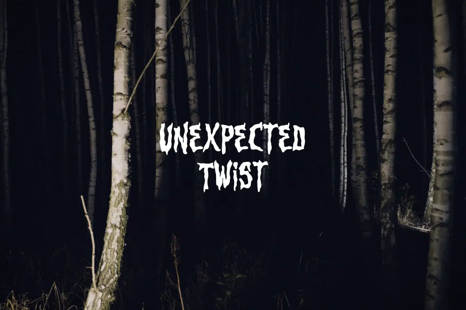 AY027 Unexpected Twist_cover.png