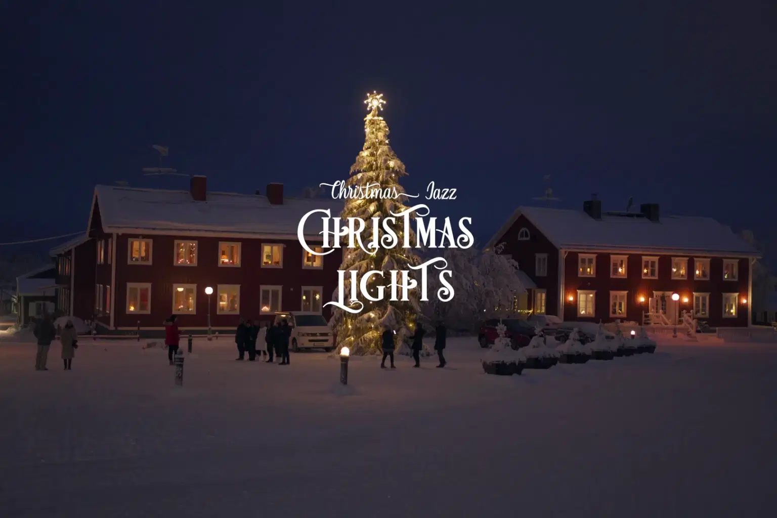 JZ005 Christmas Lights_cover.png