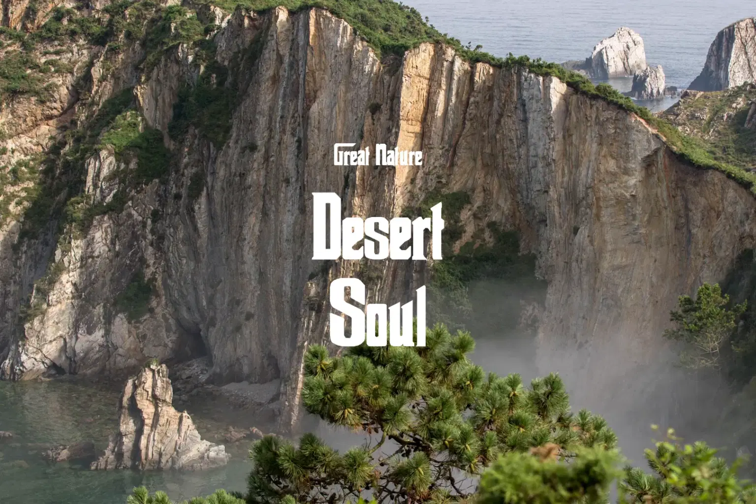 DB019 Desert Soul_cover.png