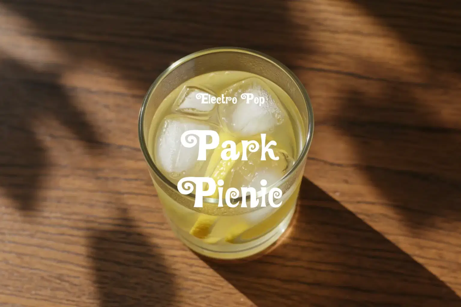 HN090 Park Picnic_cover.png