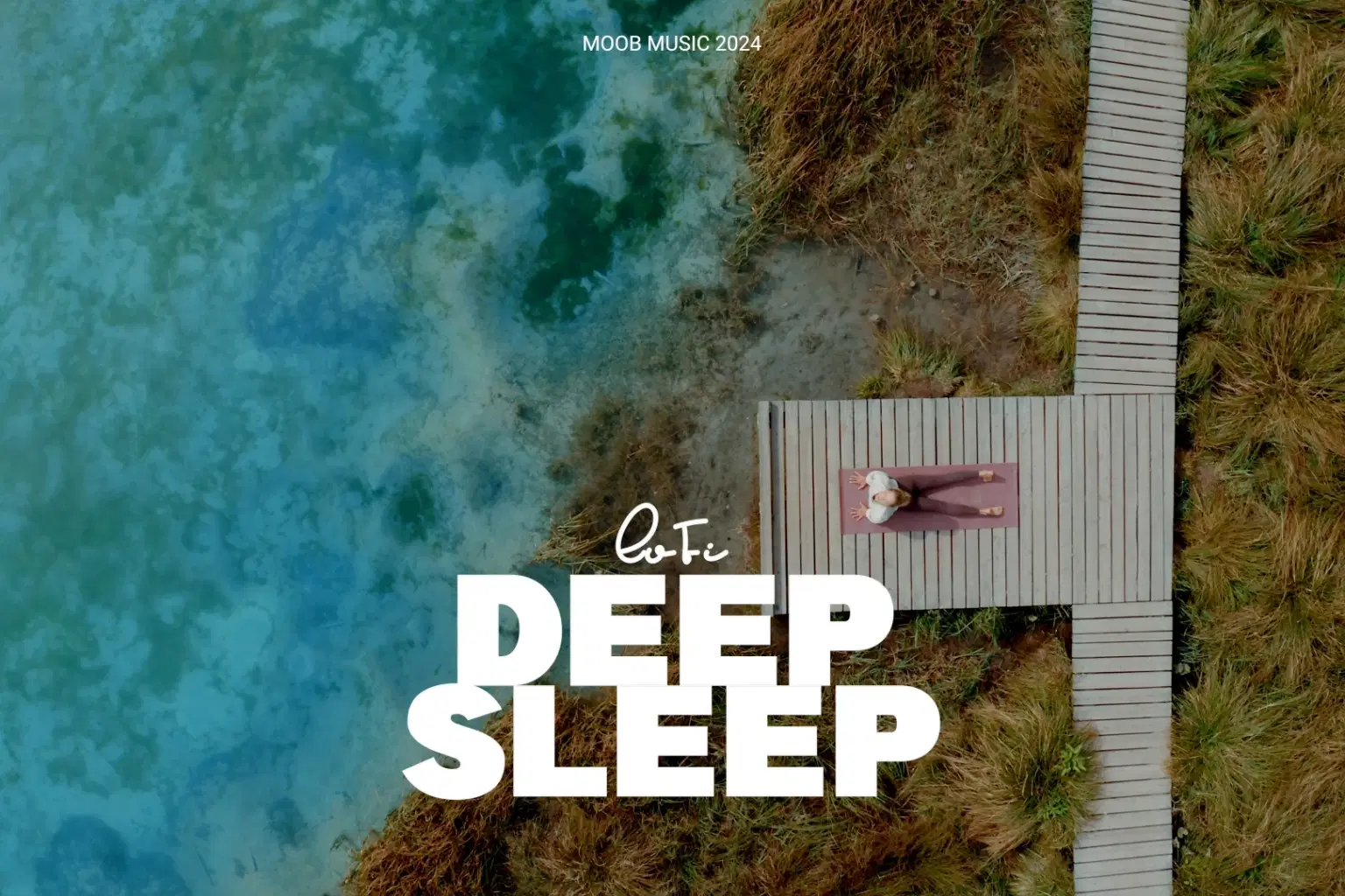 LF067 LoFi Deep Sleep_cover.png
